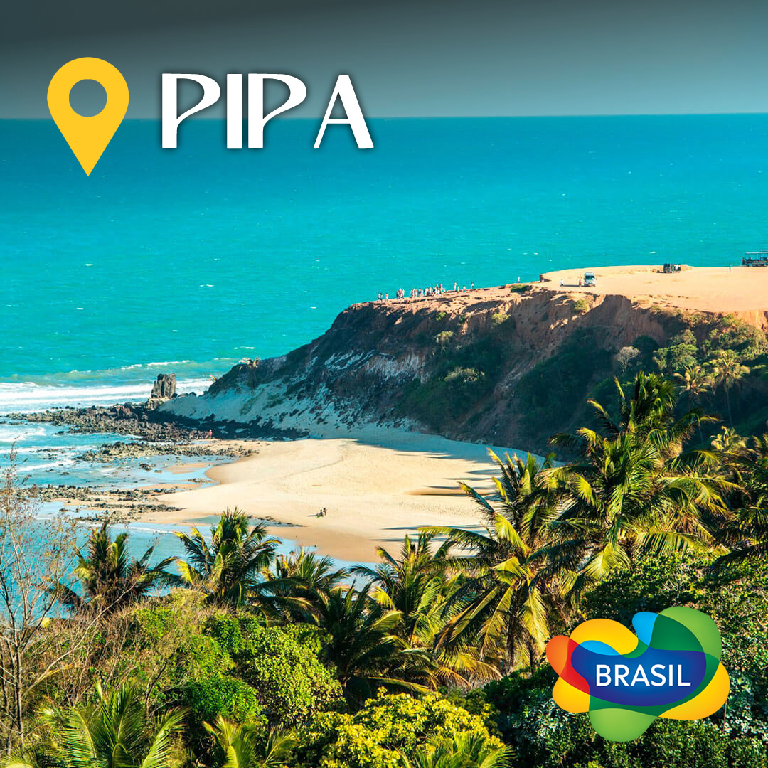 Pipa